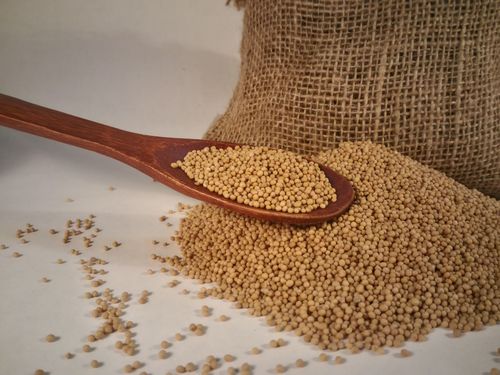 Горчица желтая