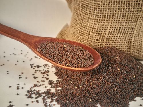 Горчиная черная