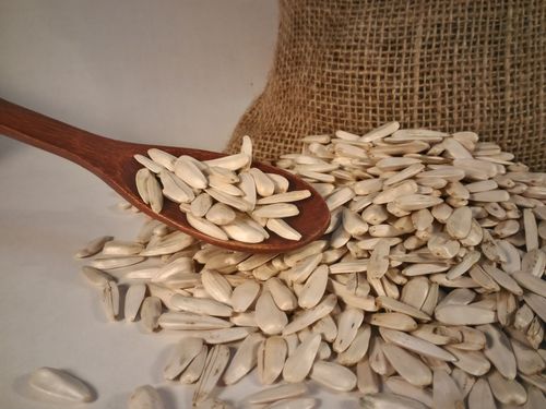 Подсолнух белый